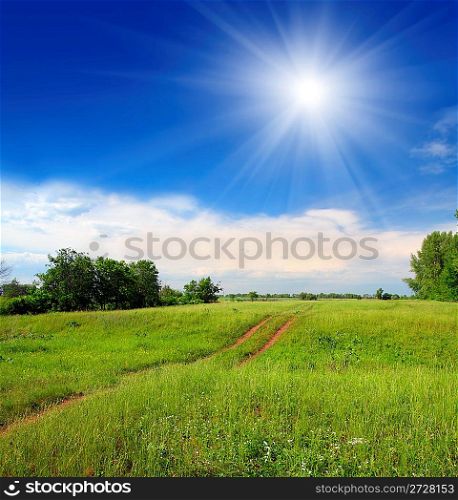summer landscape with track in green field