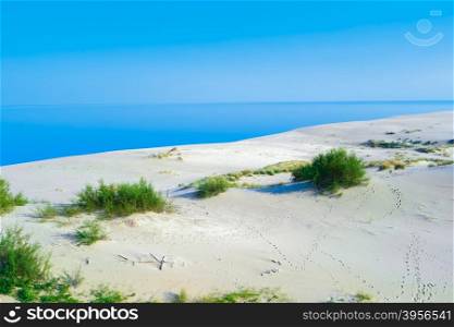 Summer landscape with white sand dunes, bushes and sky. Curonian Spit, Baltic sea. UNESCO World Heritage Site.