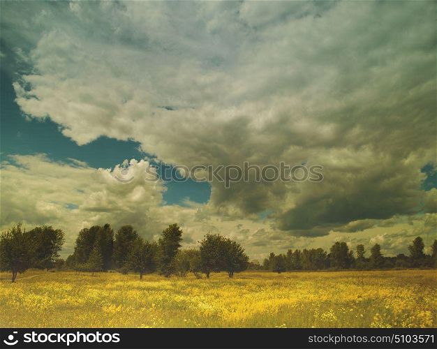 Summer landscape with wild flowers and lush foliage on the meadow