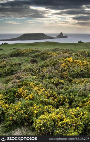 Summer landscape Worm&rsquo;s Head and Rhosilli Bay in Wales