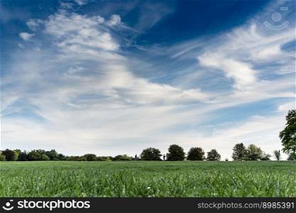 Summer lanscape of the middow and blue sky with clouds. Vienna, Austria. Nature background. Summer lanscape of the middow and blue sky with clouds