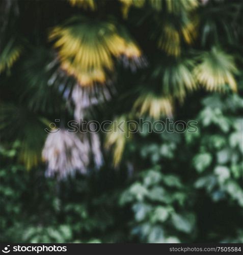 Summer life tropical background. Macro square blurred. Summer life tropical background