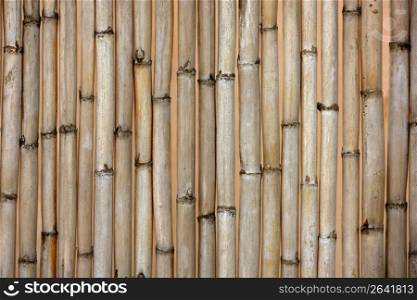 Summer light roof dried cane texture, typical asian and mediterranean