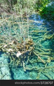 Summer limpid transparent lake with roots of tree at bottom (Plitvice Lakes National Park, Croatia)