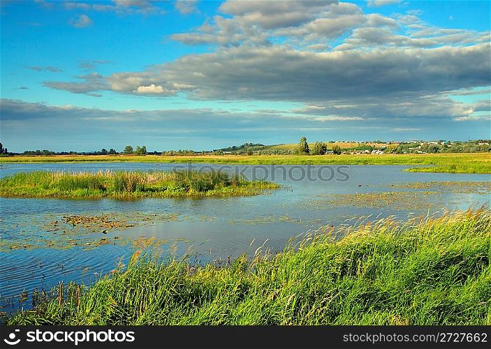 summer marshland lake landscape with cloudy sky
