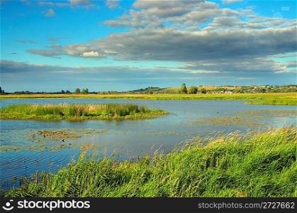summer marshland lake landscape with cloudy sky