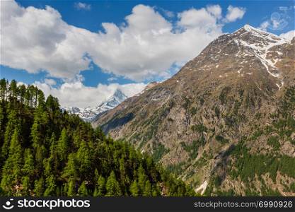 Summer Matterhorn mountain view (Alps, Switzerland, Zermatt outskirts)