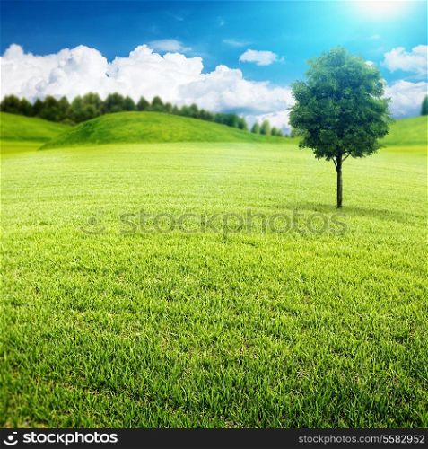 Summer meadow. Abstract environmental landscape for your design