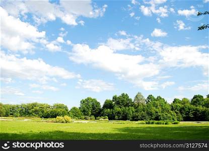 summer meadow and trees landscape