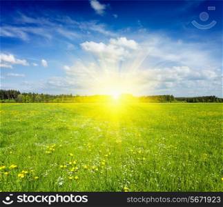 Summer meadow on sunset with blu sky and sun rays
