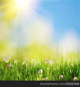 Summer meadow under bright yellow sun, natural backgrounds
