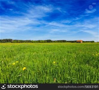 Summer meadow with blu sky Bavaria, Germany