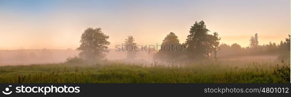 Summer misty dawn on the bog. Foggy swamp in the morning. Misty morning panorama.