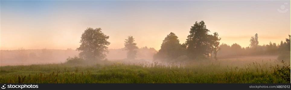 Summer misty dawn on the bog. Foggy swamp in the morning. Misty morning panorama.