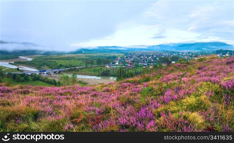 Summer misty morning country foothills panorama with heather flowers