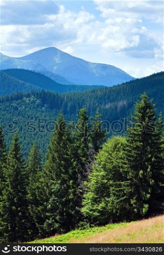 Summer misty mountain landscape with fir forest in front (Goverla Mount behind)