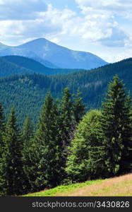 Summer misty mountain landscape with fir forest in front (Goverla Mount behind)