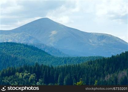 Summer misty mountain landscape with fir forest in front (Goverla Mount behind)