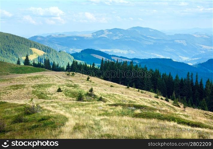 Summer misty mountain landscape with fir forest on slope (Carpathian, Ukraine)