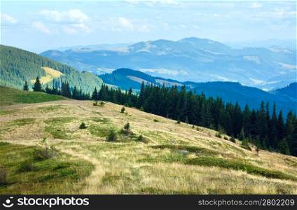 Summer misty mountain landscape with fir forest on slope (Carpathian, Ukraine)