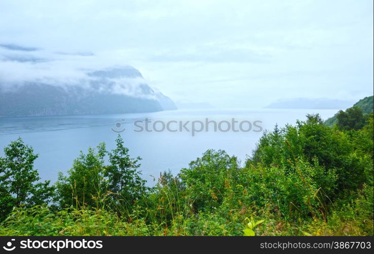 Summer misty sea coast view with low clouds (Norway).