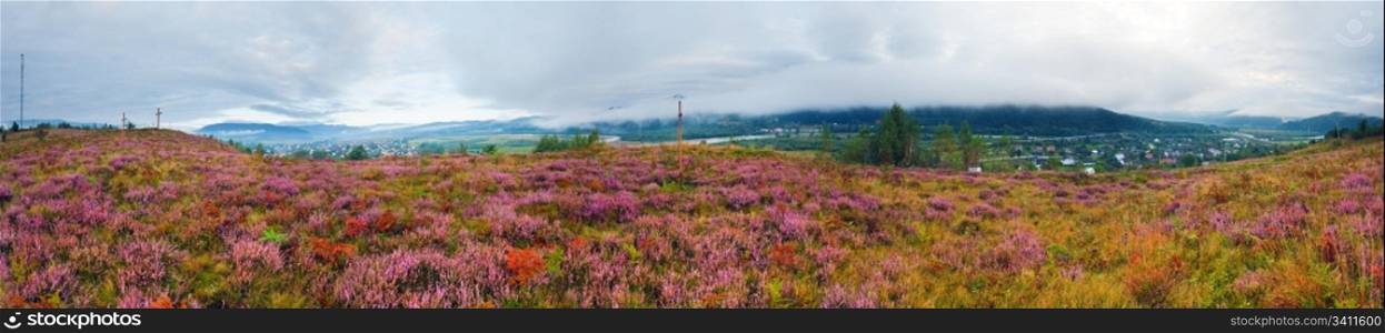 Summer morning country foothills panorama with heather flowers and wooden cross (Lviv Oblast, Ukraine) . Five shots stitch image.