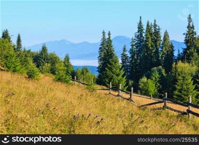 Summer morning country mountain view with fir forest and wooden fence on slope (Carpathian, Ukraine, Verkhovyna district, Ivano-Frankivsk region).