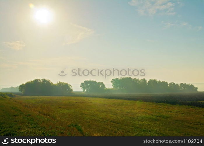 Summer morning landscape with field, sun, blue sky, fog and trees in the background