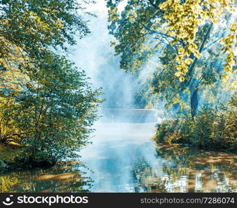 Summer morning on the edge of the lake