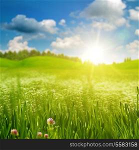 Summer morning on the meadow, abstract environmental backgrounds