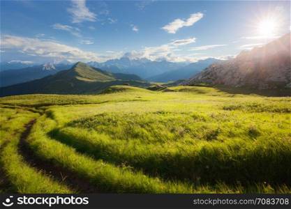 Summer mountain alpine meadow panorama. Dolomites Alps, Italy
