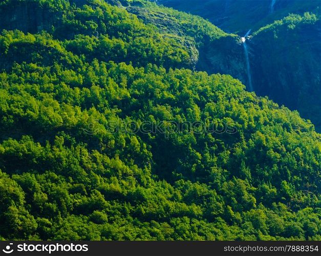 Summer mountain beautiful waterfall in Norway fjords Europe