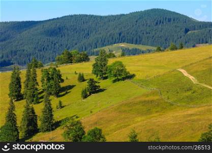 Summer mountain country landscape with rural road (Carpathian, Ukraine).