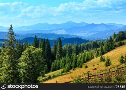 Summer mountain country view with fir forest , wooden fence and cow on slope (Carpathian, Ukraine, Verkhovyna district, Ivano-Frankivsk region).