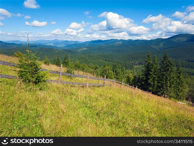 Summer mountain glade view (Carpathian, Ukraine)