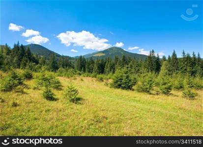 Summer mountain glade view (Carpathian, Ukraine)
