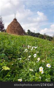 Summer mountain green meadow with stacks of hay (Carpathian Mt-s, Ukraine).