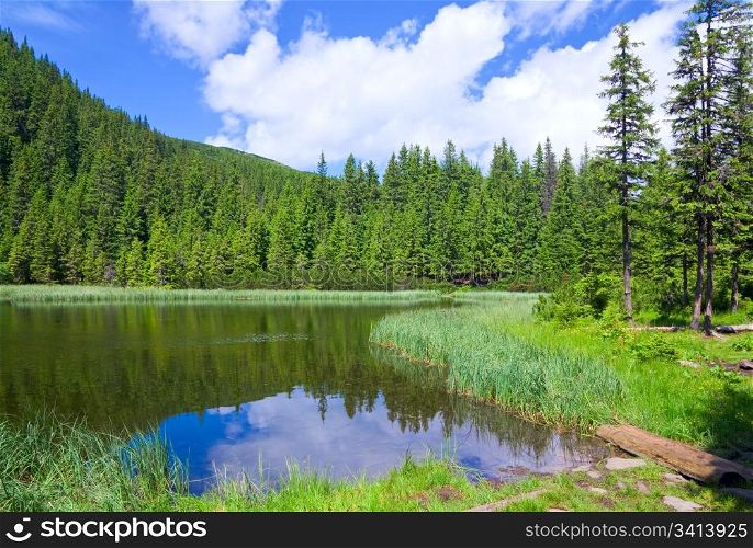 Summer mountain lake Marichejka and fir forest reflection (Ukraine, Chornogora Ridge, Carpathian Mountains)