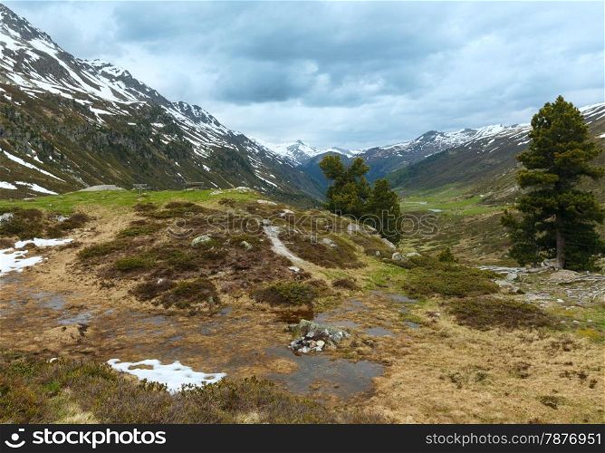 Summer mountain landscape with benches and pine trees (Fluela Pass, Switzerland)