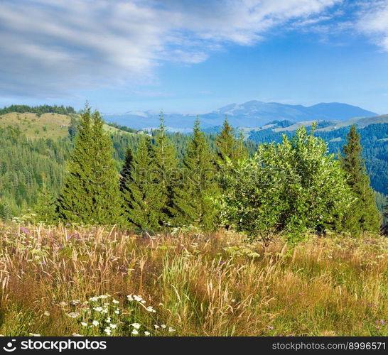 Summer mountain landscape with flowering grassland in front