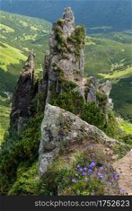 Summer mountain slope with picturesque rock formations. Shpyci mountain, Carpathian, Ukraine.