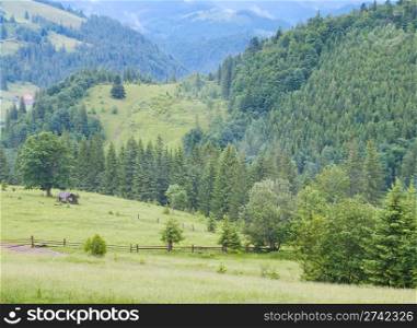 Summer mountain view with wooden shed on green meadow