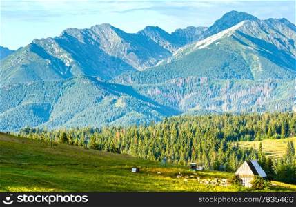 Summer mountain village outskirts with barn and flock of sheep near (Tatra range behind, Poland)