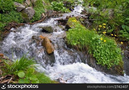 Summer mountain waterfall among vegetation