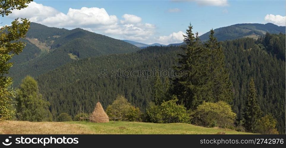 Summer mountainous green meadow with stack of hay (Slavske village outskirts, Carpathian Mts, Ukraine). Five shots composite picture.