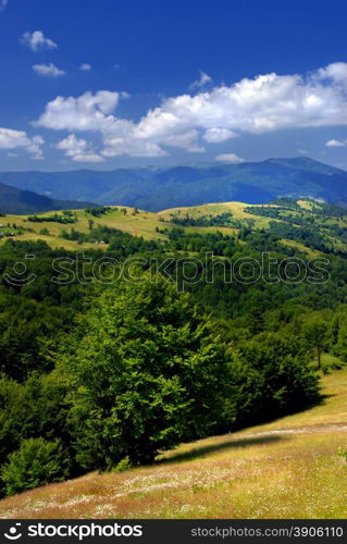 summer mountains landscape