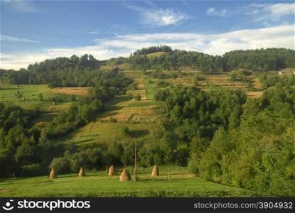 Summer mountains landscape in Carpathians, Ukraine