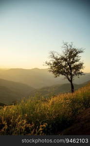 Summer mountains with sunset view of nature cliff mountain