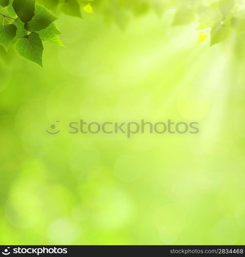 Summer natural backgrounds for your design