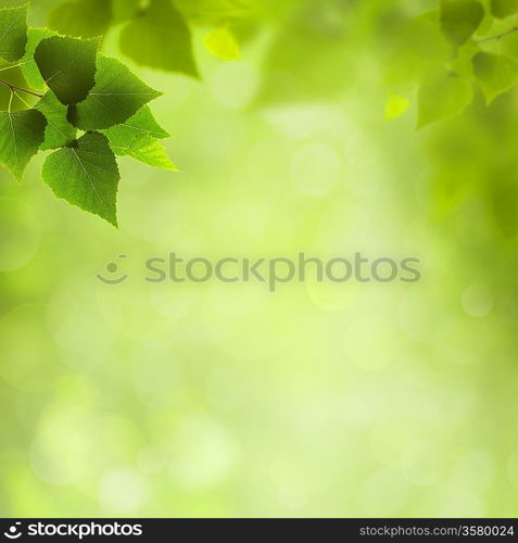 Summer natural backgrounds for your design